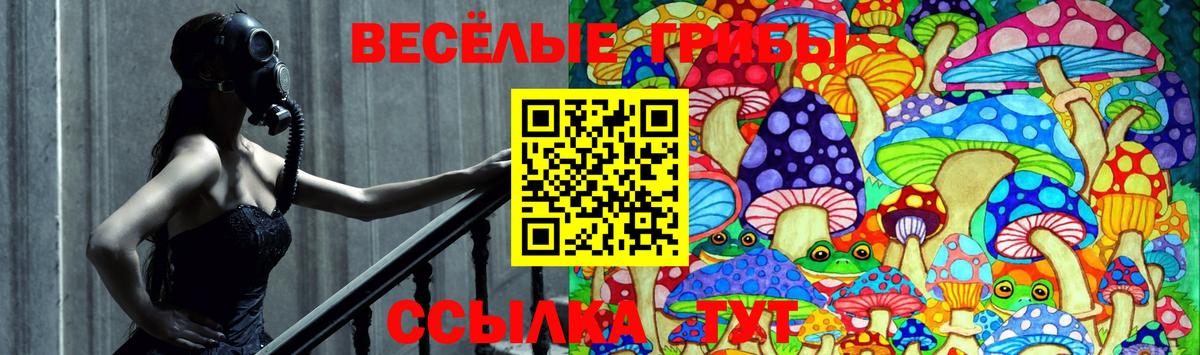 купить наркоту  Галлюциногенные грибы Psilocybe  Галлюциногенные грибы Psilocybe  Вход с VPN  Фролово 